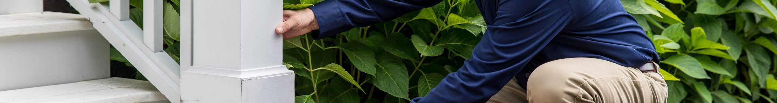 Pillar To Post Newsletter Vol. 20 No. 5